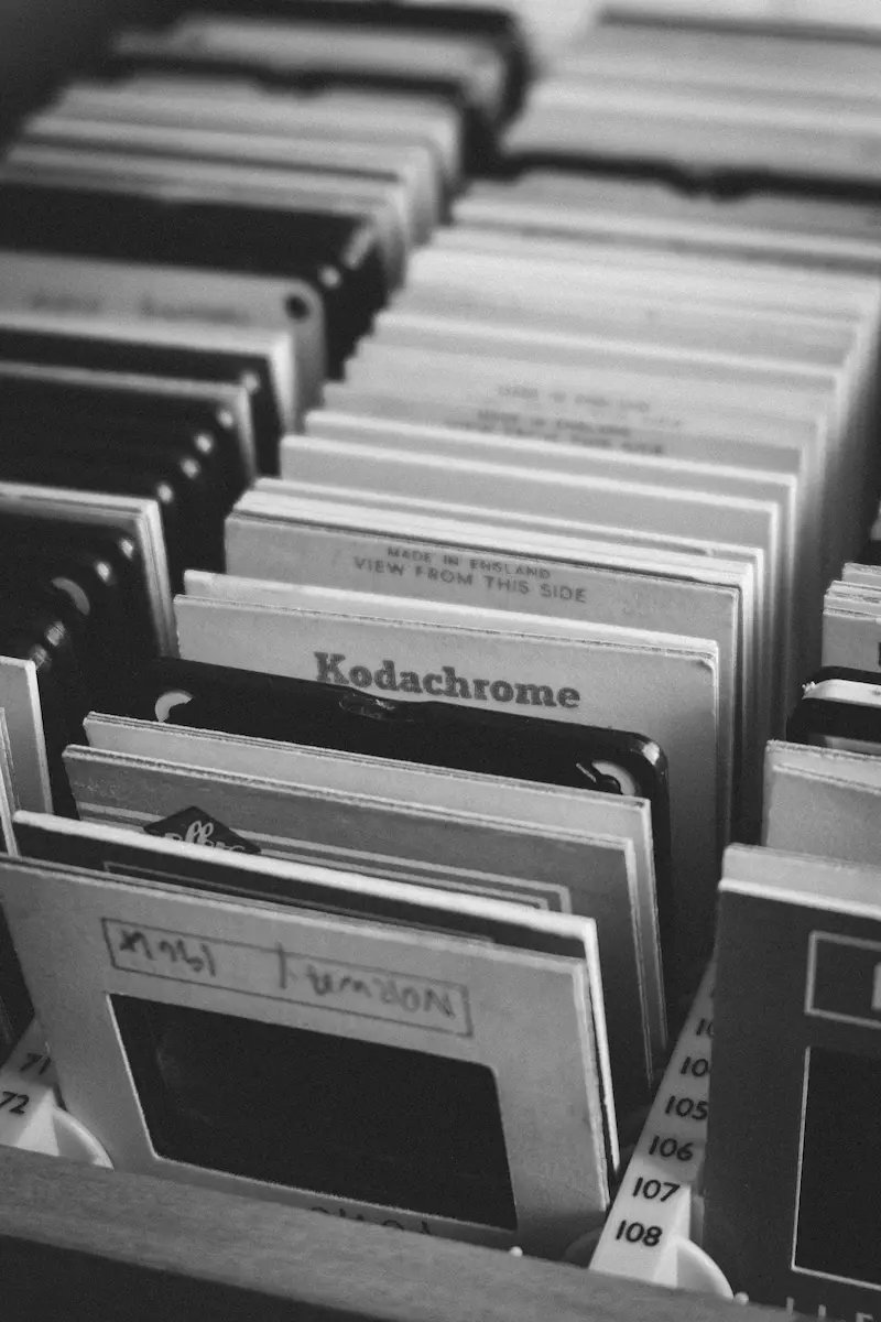 Dias, Fotos und Negative digitalisieren